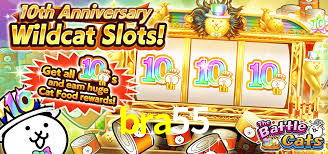 bra55 login