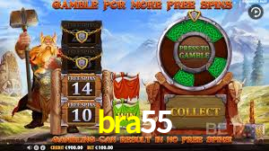 Programa VIP bra55