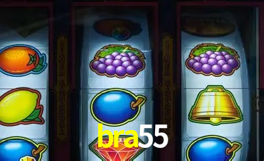 Sistemas de Segurança bra55