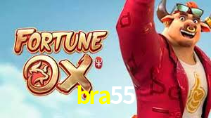 Experimente o Login Seguro Premium no bra55