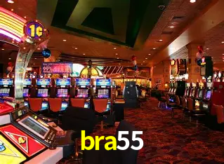 Estatísticas bra55